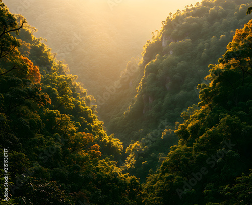Vue plongeante sur des collines boisées aux couleurs automnales chaudes traversées par des rayons de lumière dorée filtrant à travers des nuages diffus au petit matin