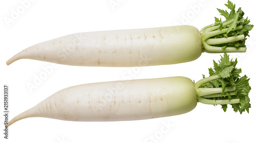 Two white daikon radishes with green leafy tops