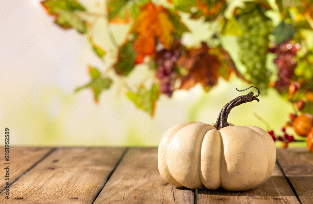Obraz premium White pumpkin on rustic wooden table with blurred grapevine leaves for autumn harvest Thanksgiving product mockup