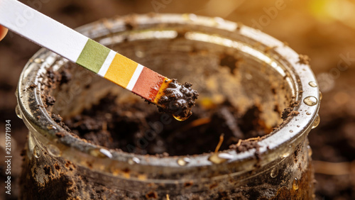 Testing soil health using a soil test strip in a compost jar