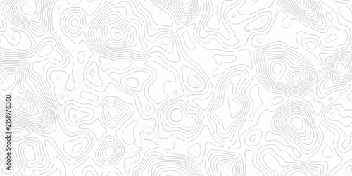 Fotografía Abstract pattern with lines topographic map background