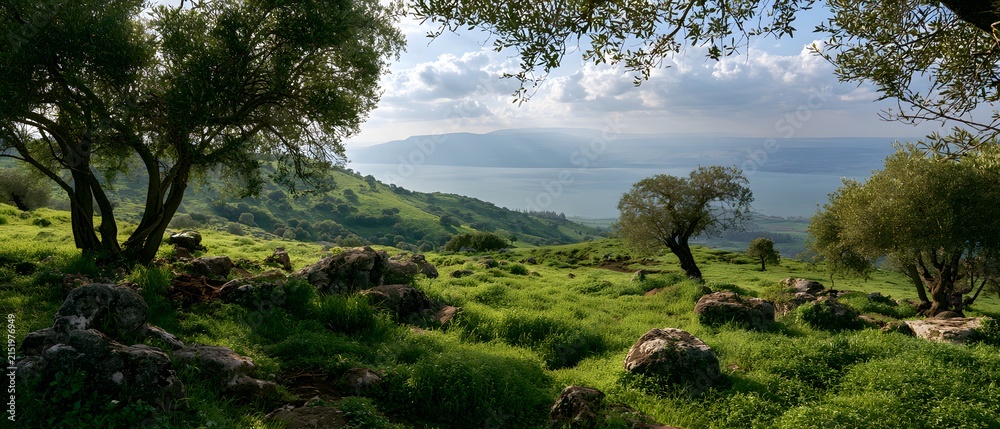 Fototapeta premium Beautiful landscape overlooking the sea of galilee from the golan heights with olive trees and rocky terrain