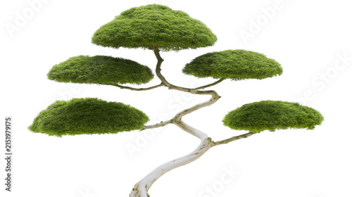Принти на полотні Bonsai tree with green foliage clouds and twisted trunk