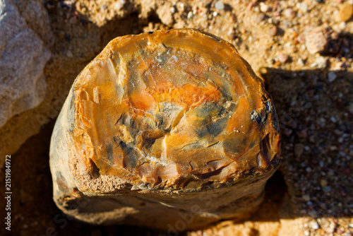 Obraz na plátně Natural patterned flint nodule featuring a vivid orange and brown cross-section