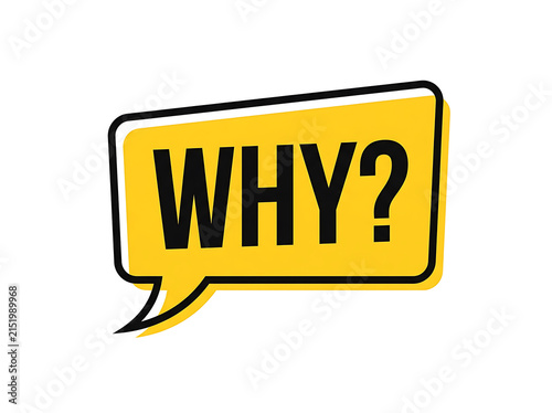 Speech bubble with the word why isolated on white background