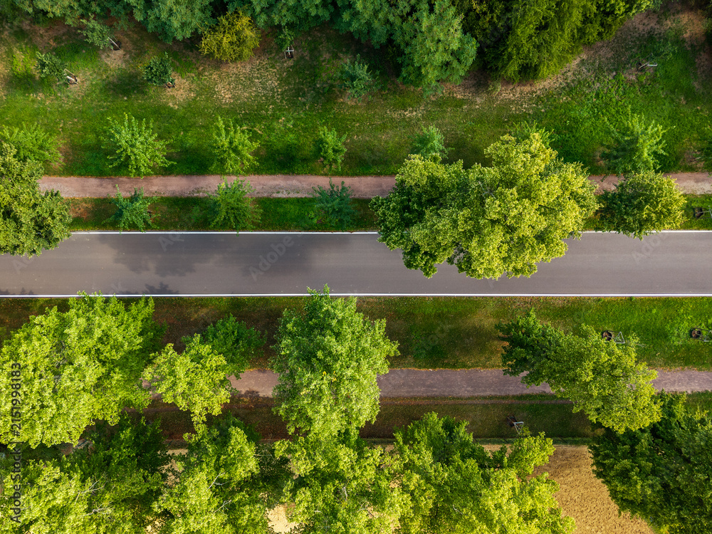 Obraz premium Top-down drone view shows curved asphalt road through green parkland, framed by mature trees, lawns and trimmed hedges. Summer scene highlights clean geometry, lush vegetation and quiet urban nature