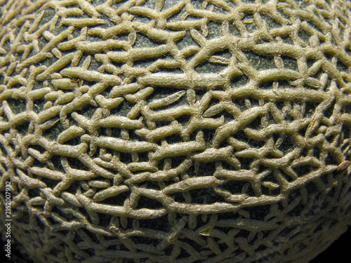 
conceptual image of muskmelon in the vegetable garden, closeup, as background 