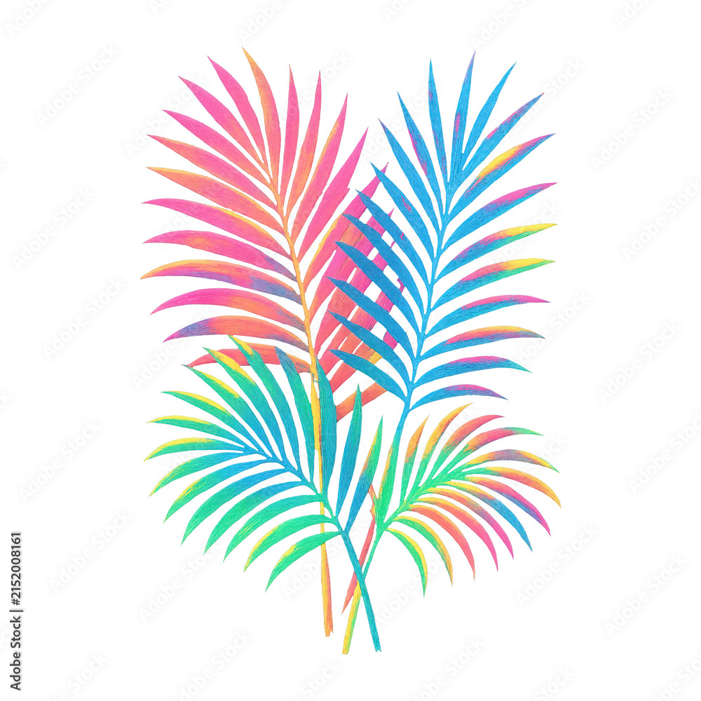 Fototapeta premium PNG Vibrant tropical palm leaves illustration.