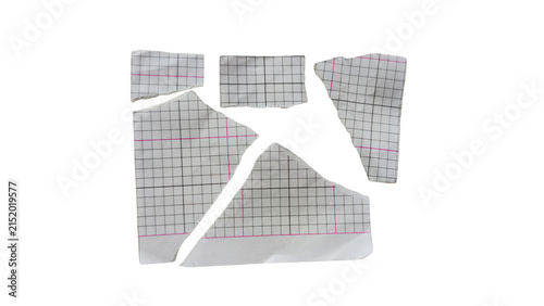 Grid paper pieces torn into segments isolated on a transparent background