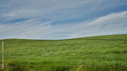 Green Rolling Hills Under Blue Sky in Hokkaido, Japan