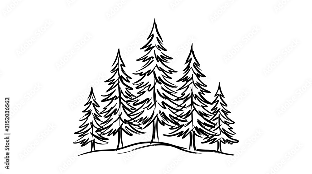 Obraz premium Hand-drawn evergreen forest illustration