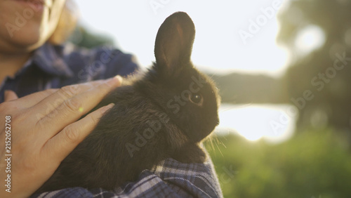 Foto A woman gently holds a rabbit in her hand while the sun illuminates the scene
