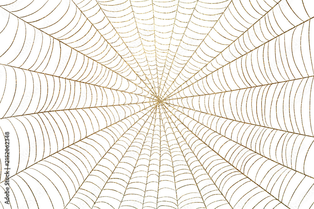 Fototapeta premium spiderweb halloween gold background transparent