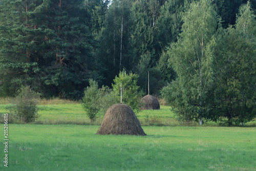 Konstfotografi two haystacks on a green meadow in the forest