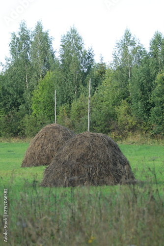 Foto two haystacks in a meadow on a summer day