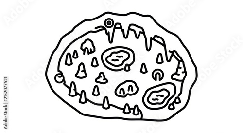 Foto Simple cell biology illustration.