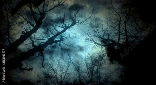 Принти на полотні Night mysterious gothic landscape with Halloween atmosphere - bare forest trees