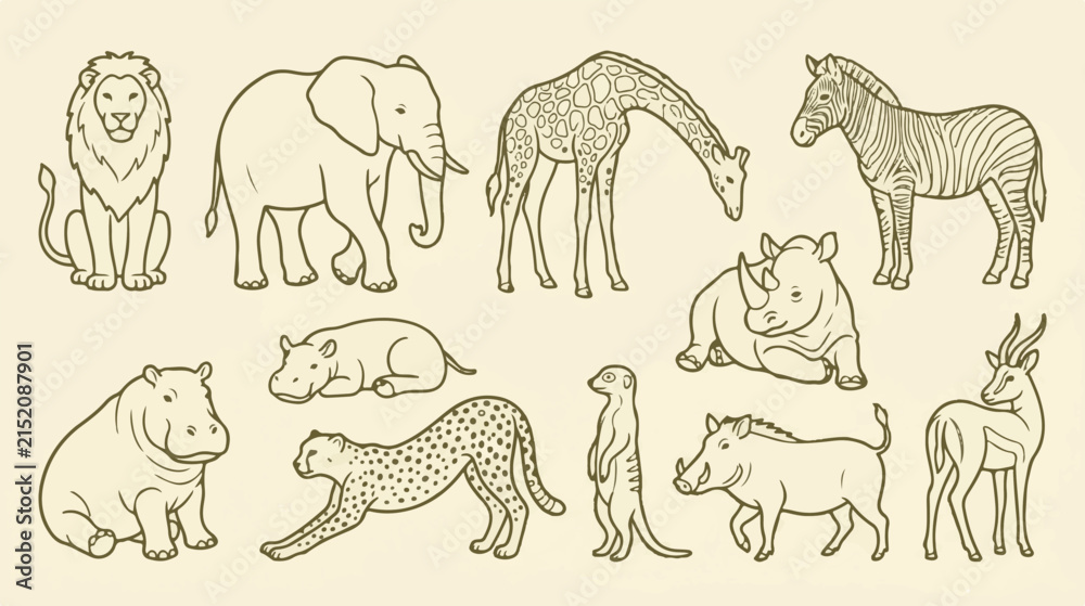 Naklejka premium Vintage safari animal illustrations, hand drawn wild african animals set, 11 line art zoo animal vectors for educational posters