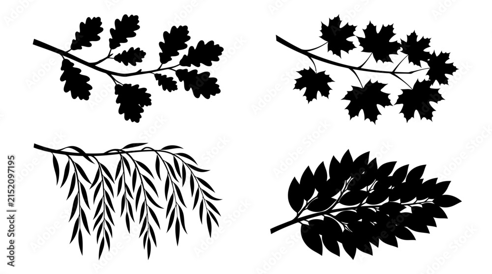 Obraz premium Set of hand drawn tree branches with leaves silhouettes.