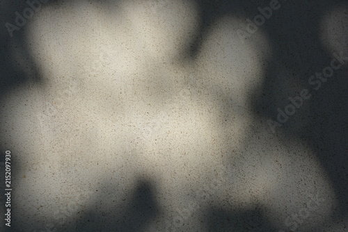 Construction and renovation work, plastering load-bearing street walls in sunlight. The white walls are coated with rough street primer with long micro-cracks throughout the surface and background.