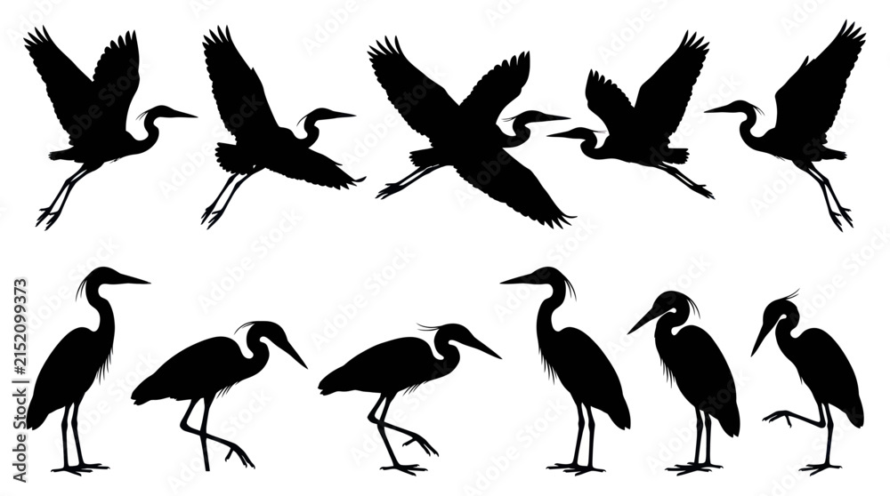 Naklejka premium Elegant heron and stork bird silhouettes in various poses