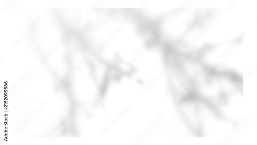 Obraz premium Frame with tree and leaf shadows, featuring grain and noise texture on a transparent background for your mockup