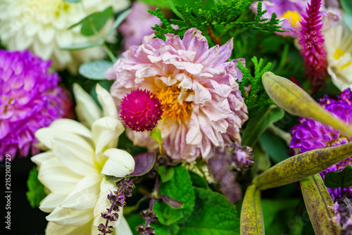 Bright flowers in a bouquet showcasing various colors and textures in a close-up view