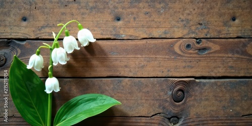 Delicate white lilies of the valley elegantly arranged against a rustic brown wooden backdrop