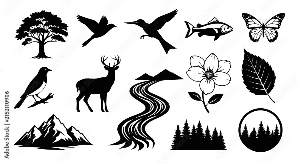 Fototapeta premium Wild Nature and Landscape Vector Collection
