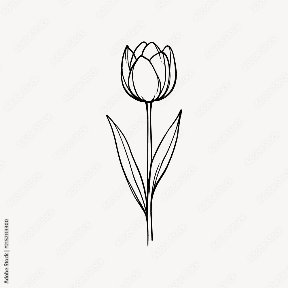 Obraz premium Minimalist black line drawing of a tulip on a plain white background.