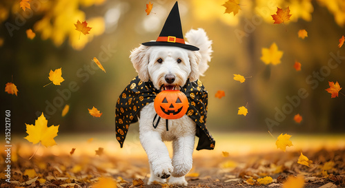 Adorable dog wearing a witch hat and cape running with a pumpkin bucket for halloween
