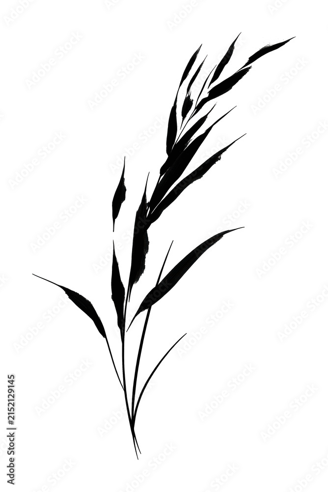 Fototapeta premium PNG Minimalist black ink botanical illustration.