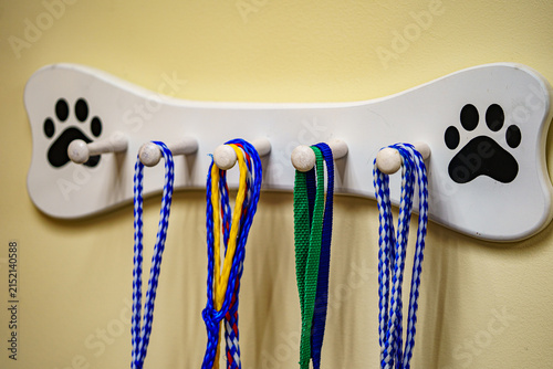 Dog leash holder with multiple leashes hanging on a wall in a pet-friendly space