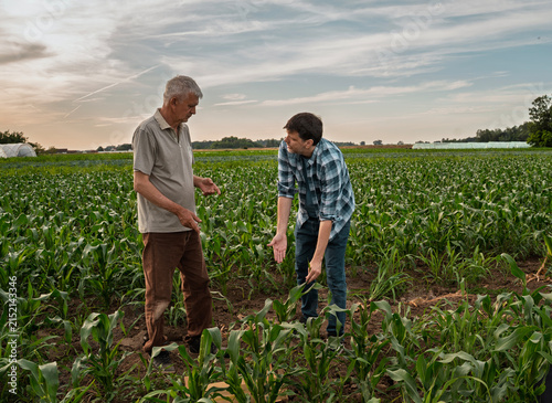 Two man farmer talking or arguing on the field, having conversation about crops or arguing over land