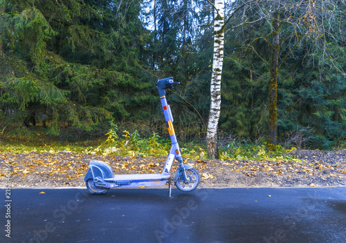 Canvastavla Parked electric scooter on wet pavement by forest edge under birch tree in autum