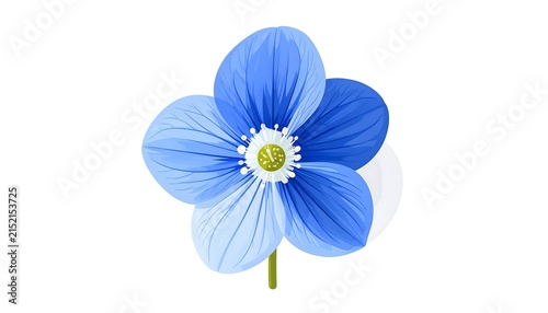Vibrant blue iris flower close up isolated.