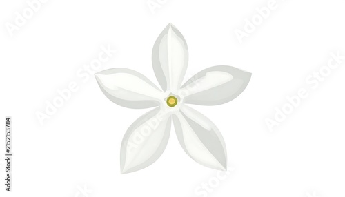 Delicate white flower with golden center isolated.