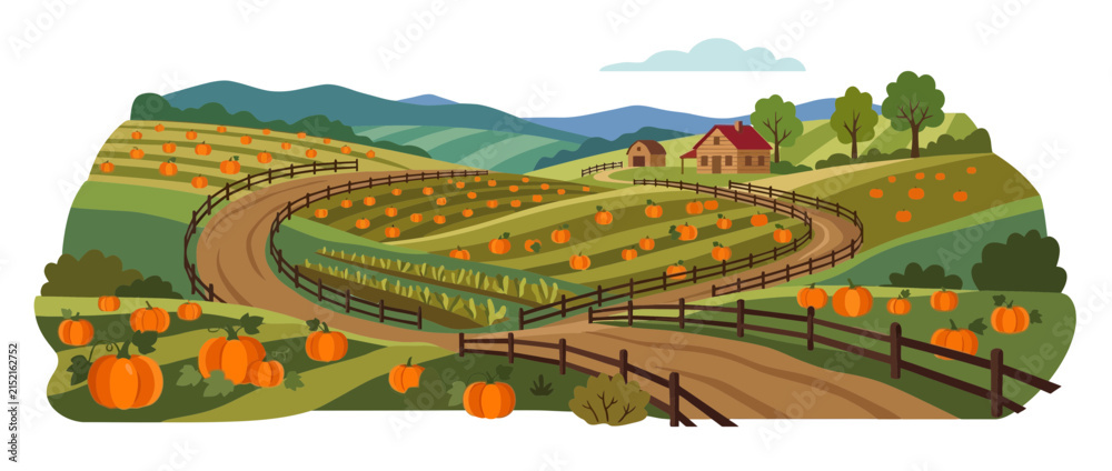 Fototapeta premium Autumn Pumpkin Patch Field with Farmhouse and Country Road Illustration