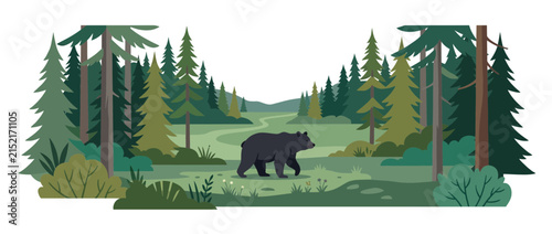 Black Bear Walking in a Pine Forest Landscape Illustration