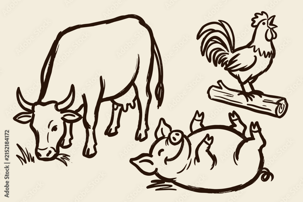 Fototapeta premium Cute Cartoon Chicken Vector Illustration for Farm Animal Design, Funny Bird Icon and Hand Drawn Farmyard Pet Artwork on White Background