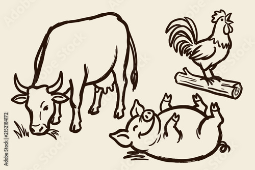 Cute Cartoon Chicken Vector Illustration for Farm Animal Design, Funny Bird Icon and Hand Drawn Farmyard Pet Artwork on White Background