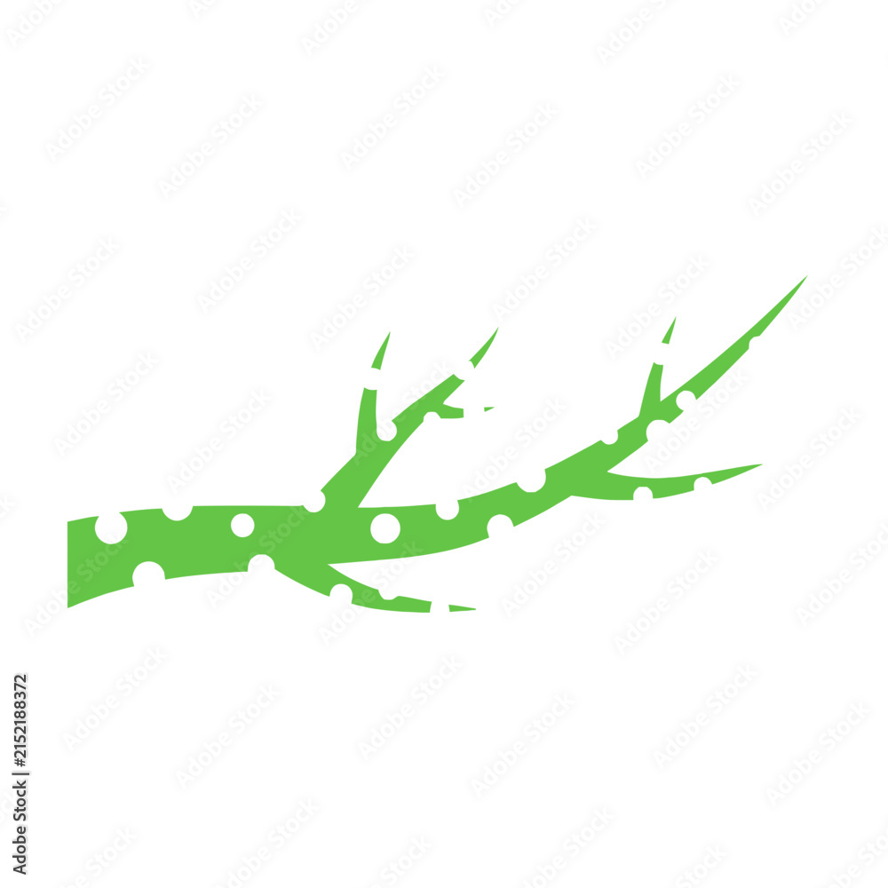 Fototapeta premium Green Branch and Leaf Botanical Illustration Isolated on White Background, Natural Foliage Element for Garden, Eco, Organic and Nature Design