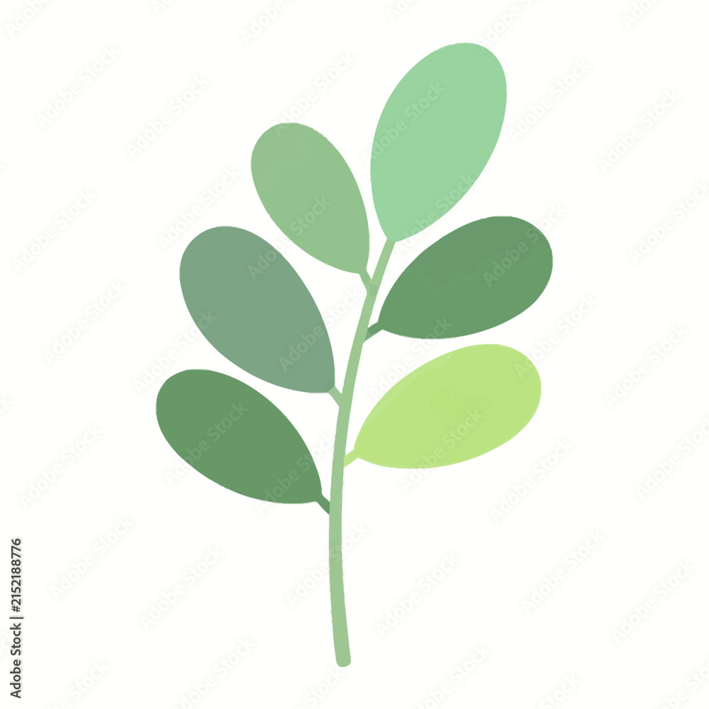 Fototapeta premium Green Leaf Branch Botanical Illustration Isolated on White Background, Fresh Foliage Element for Garden, Organic, Eco Friendly and Nature Design