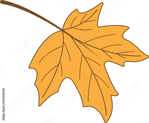 Autumn leaf logo template illustration icon design