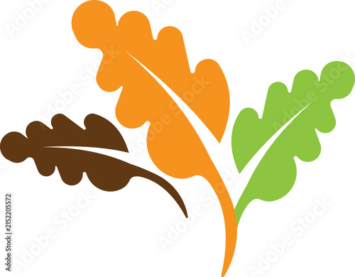 Autumn leaf logo template illustration icon design