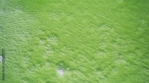 High-Angle Close-Up of Qarhan Salt Lake: Pure Emerald Water, White Salt Crust and Sunlit Ripples in Qaidam Basin, Qinghai