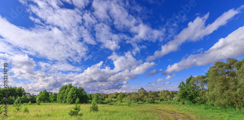 Принти на полотні Blue sky with fluffy white clouds dominates the scene