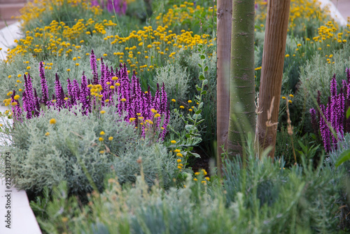 a field of wild plants and flowers of different colors in nature.