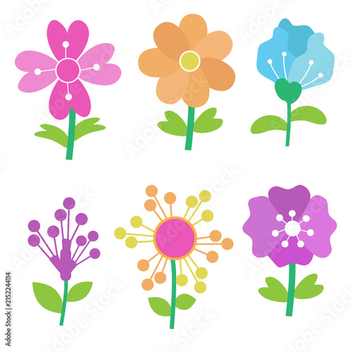 A collection of diverse flowers