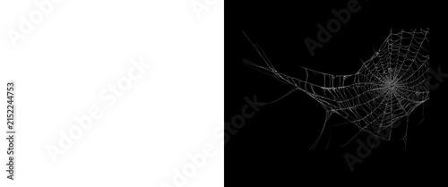 Konstfotografi Spooky spider web on black background, delicate cobweb texture, creepy Halloween